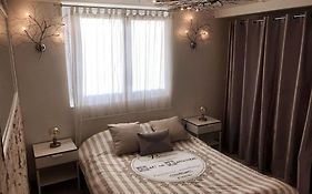 T1 Cosy